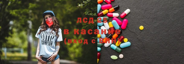 ешки Бородино