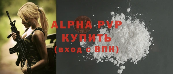 ешки Бородино
