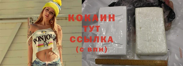 ешки Бородино