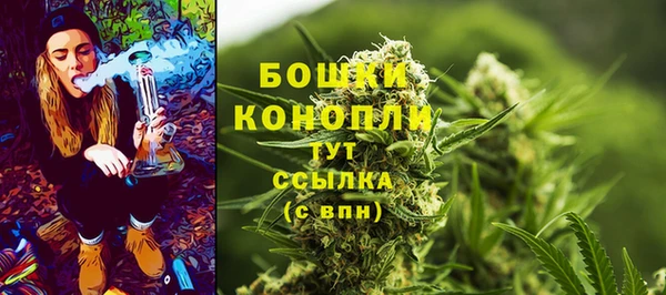ешки Бородино